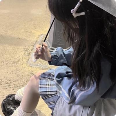 杜丝先生